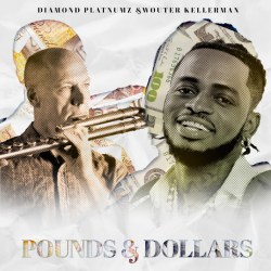 Diamond Platnumz-Pounds & Dollars Ft. Wouter Kellerman