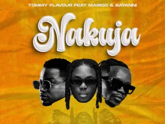Tommy Flavour-Nakuja Ft. Marioo, Bayanni