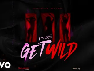 Vybz Kartel-Get Wild
