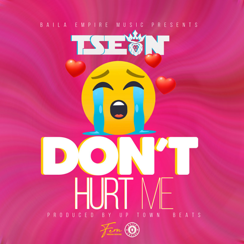 T-Sean-Dont Hurt Me